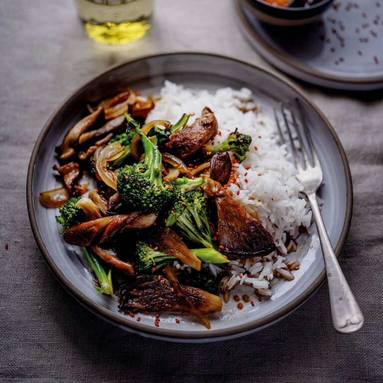 asiatiska influencer. sojastekt ostronskivling med broccoli